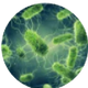 Chloramine